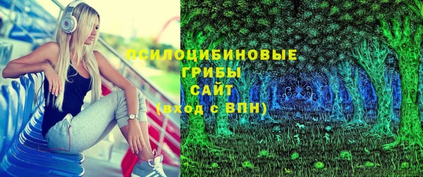 стаф Алексеевка
