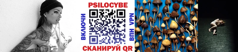 Псилоцибиновые грибы Cubensis  маркетплейс какой сайт  Железногорск-Илимский 